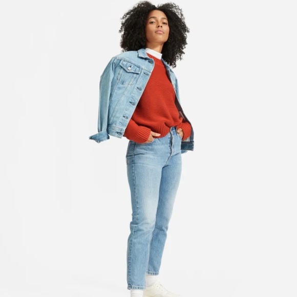 Everlane The Link-Stitch Crewneck Sweater in Rust - Picture 4 of 10